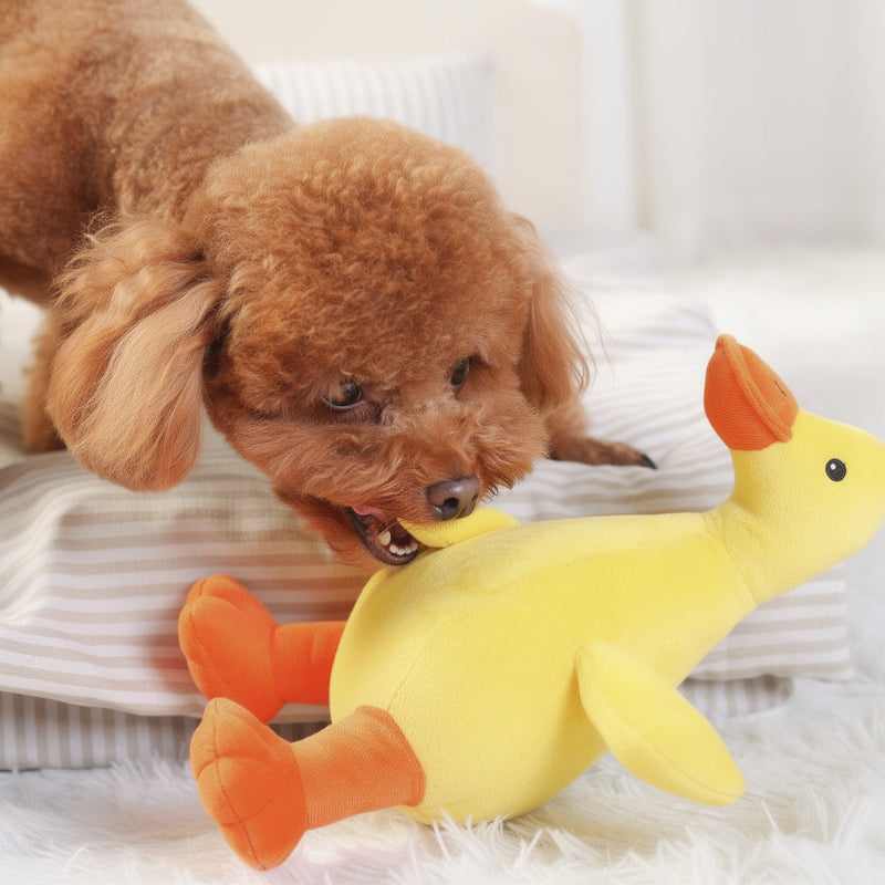 Peluche con Funzione Squittio per Cani