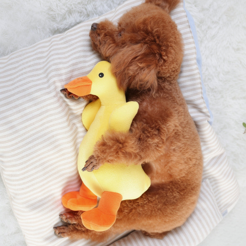 Peluche con Funzione Squittio per Cani