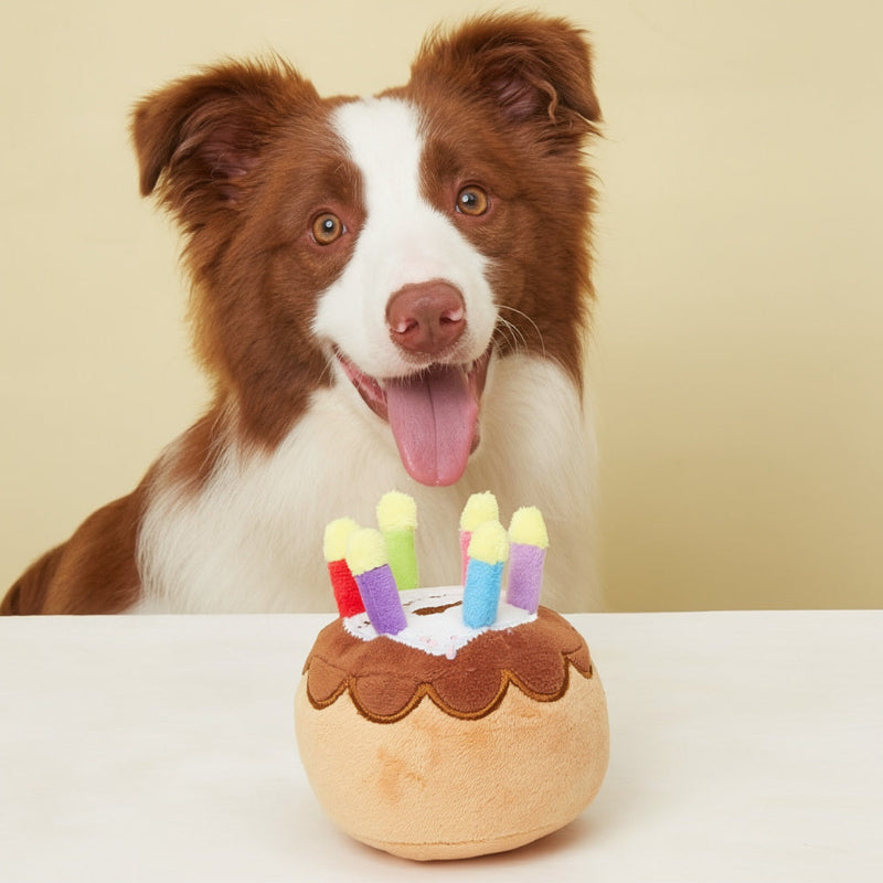 Torta di Compleanno in Peluche da Masticare