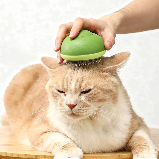 Avocado-Massagebürste zur Fellpflege