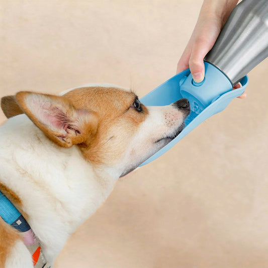 Tragbare Trinkflasche aus Edelstahl für Hunde